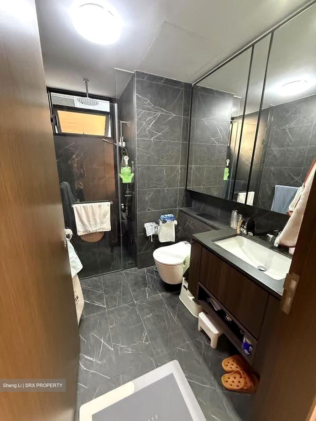 Kopar At Newton (D9), Apartment #620439971
